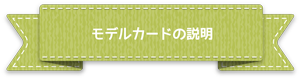 モデルカードの説明